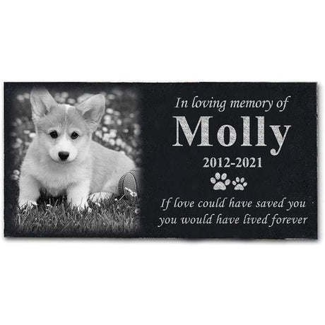 ODB Personalized Pet Memorial Stones, Black Granite Memorial Garden Stone Engraved with Photo, Gifts for Someone Who Lost a Loved One, or Pet, Dog, Cat (with Photo) ODB