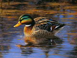 Generic Diamond Art Painting Mallard and Water Duck Mallard Flying Lake Animals Wildlife（15） Kit for Adults Diamond Art Painting by Number Kits Gem Art Wall Home Decor(Canvas 11.8 x15.8inch) Generic