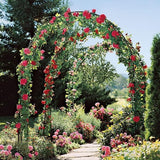 Garden Arch, Outdoor Flower Garden Arch Trellis, Sturdy Steel Arbor for Climbing Plants, Wedding Decoration, 7'8" H x 4'5" W, Dark Green ATR ART TO REAL