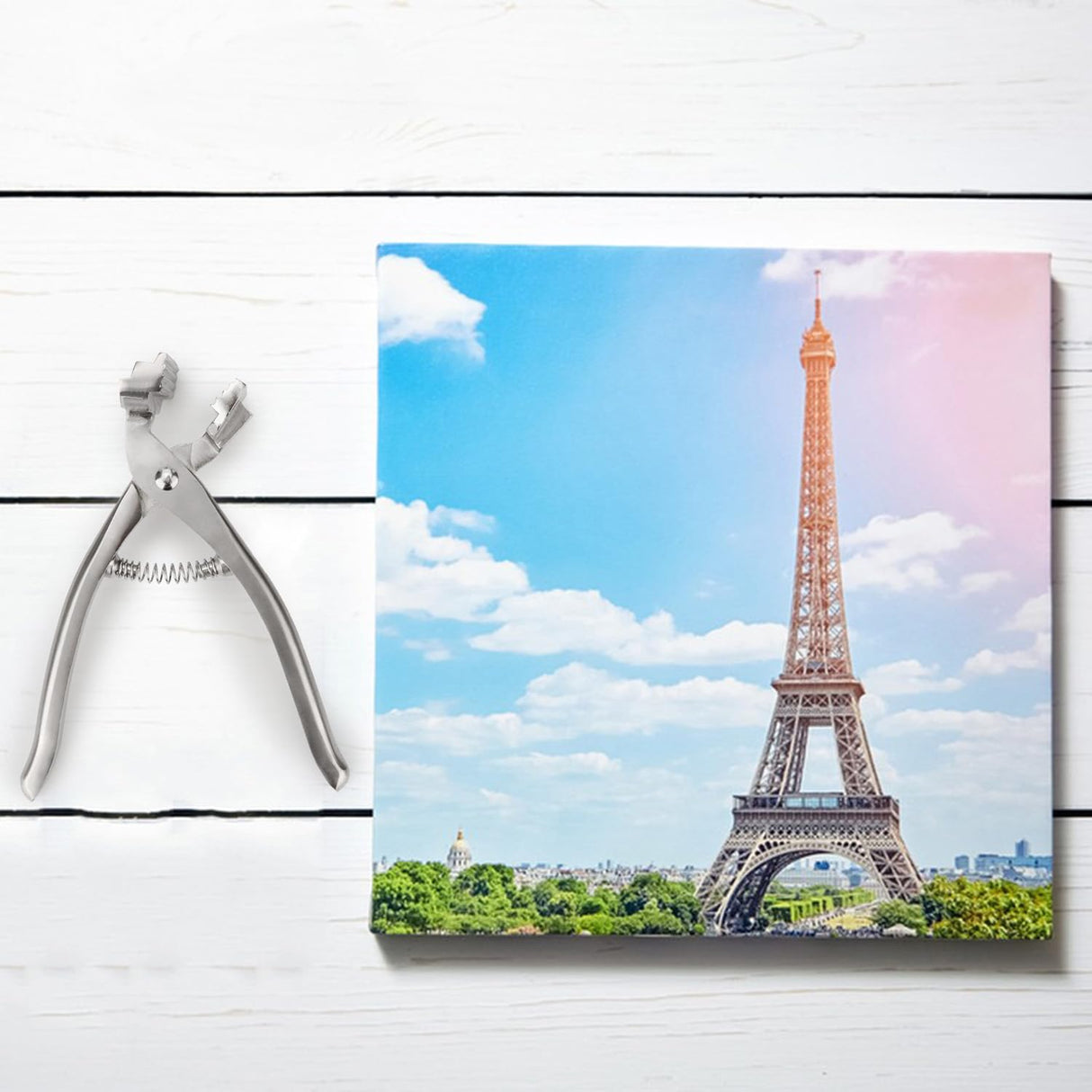 Rongon Professional Canvas Pliers for Stretching Canvas, Oil Canvas Stretcher Paint Canvas Stretching Plier Heavy Duty Aluminum Alloy Webbing Stretcher Tool for Stretching Clamp Oil Painting Rongon