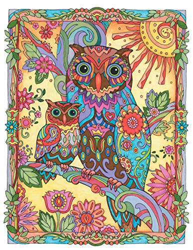 Creative Haven Owls Coloring Book (Adult Coloring Books: Animals) Dover Publications