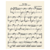 Musical Notes Fur Elise by Ludwig Van Beethoven 1000 Piece Jigsaw Puzzle for Adults by Pigment & Hue Generic