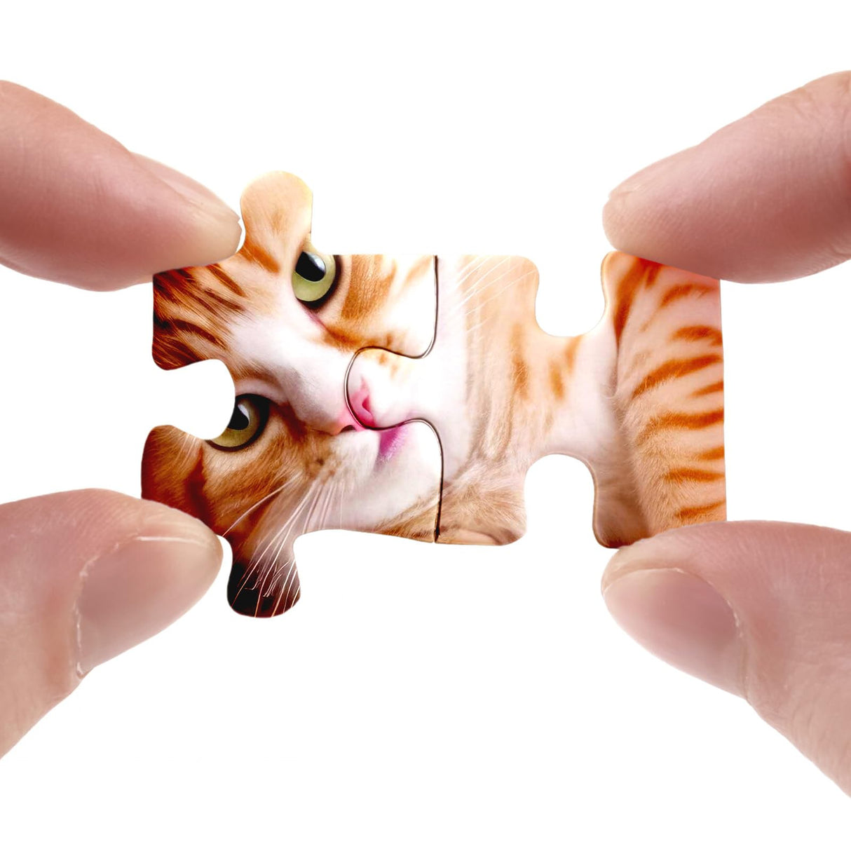 Cat Puzzles for Adults 1000 Piece, Kitten Kitty Funny Jigsaw Puzzle, Puzzle on Puzzles Difficult Jigsaw Puzzle for Cat Lovers - When Fluffy Strikes BBOLDIN