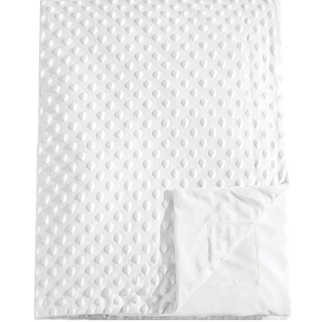 david's kids Minky Baby Blanket for Boys Girls Neutral, Soft Lightweight Micro Fleece Blanket with Double Layer, Dotted Backing, Breathable Receiving Blanket for Newborns, 30x40 Inches, White david's kids