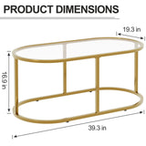 Coffee Table Gold Glass Coffee Tables for Living Room, Oval Table Center Table with Sturdy Metal Frame,Modern Tempered Glass Accent Tables for Bedroom Home Office Wolawu