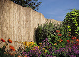 Master Garden Products RF-6 Natural Woven with Black Nylon Coated Wire, 6'H x 14'L Reed Fence, Yellow Master Garden Products