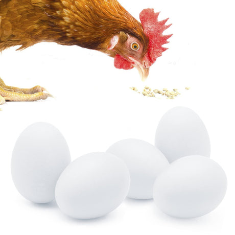 SunGrow Fake Wooden Eggs to Train Birds from Laying in The Nesting Boxes & to Stop from Eating Own Eggs, White Color, 5 Pack Suitable for Chicken and Duck SunGrow