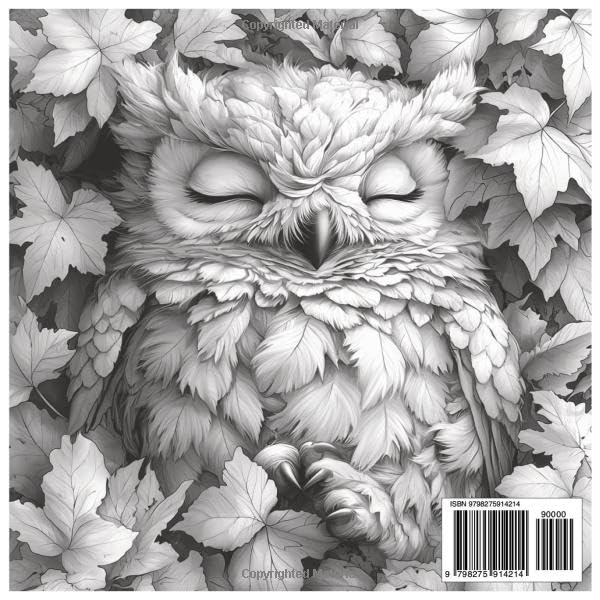 Grayscale Owl Odyssey: Adventurous Coloring Book for Teens and Adults: Intricate Owl Illustrations for Relaxation, Creativity & Stress Relief (Grayscale Animal Coloring Series) WoodArtSupply