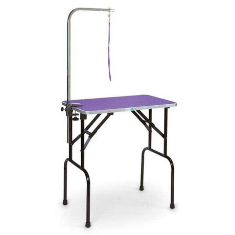 Master Equipment Grooming Table w/36In Grooming Arm, 36x24In Purple Master Equipment