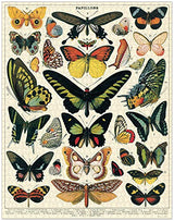 Cavallini Papers & Co. Butterflies 1,000 Piece Puzzle, Multi Cavallini