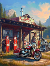 Funny Motorcycles Gas Station Diamond Art Painting Kits for Adult,Transportation Vehicles 5D Diamond Art for Adults,Round Drill Painting by Diamonds Art and Crafts for Home Wall Decor Gift 12x16 Inch CEQOLI