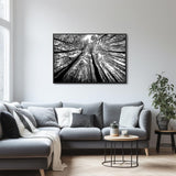 Bgraamiens Puzzle-Forest in Black and White-1000 Pieces Creative Black and White Nature Scenery Hard Puzzle Blue Board Jigsaw Puzzle Bgraamiens