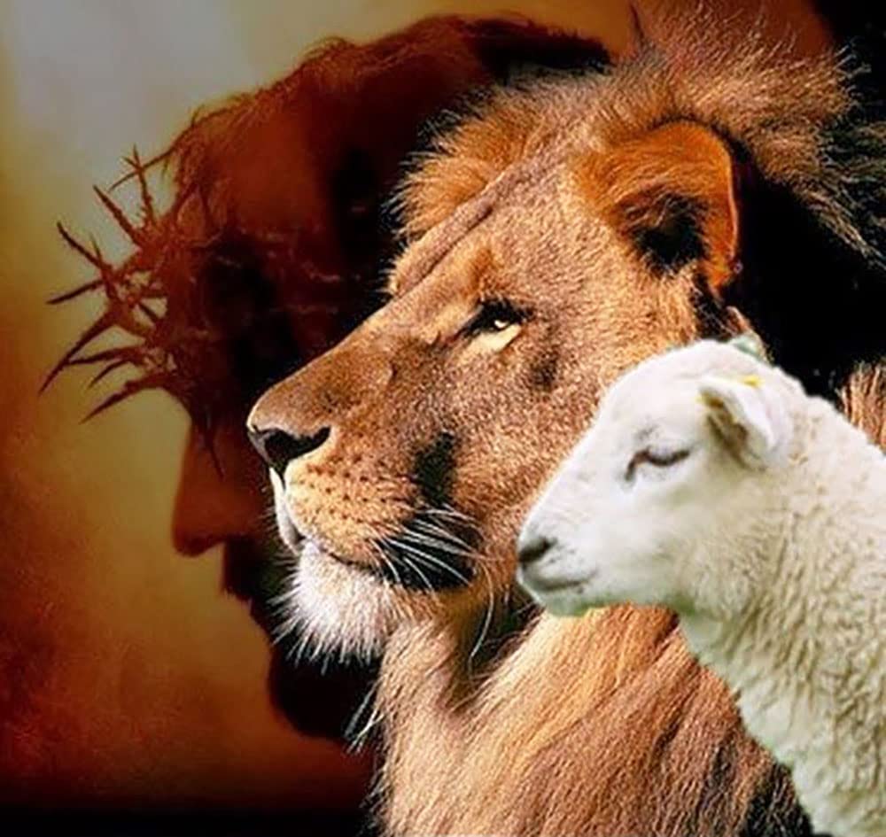 YIMORE 5D DIY Diamond Art Painting Kits for Jesus Lion Lamb 16X16 inches for Adults Kids，Full Round Drill Crystal Rhinestone Embroidery for Home Wall Decor YIMORE