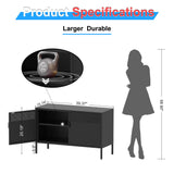 Washsemba 2 Door Storage Sideboard, Metal Storage Cabinet with 2 Adjustable Shelf,Multipurpose Metal Accent Cabinet for Office Home,Music Studio (Black, 25''H) Washsemba