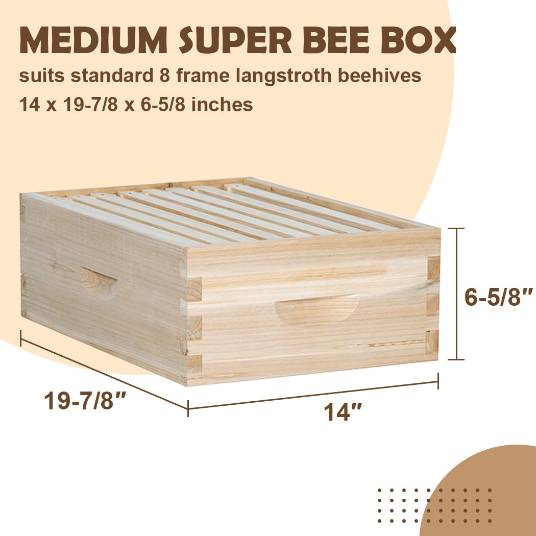 BEEINN 8 Frame Bee Hive, Compelte Bee Hive Starter Kit Includes 1 Deep Brood Honey Bee Hives Box, 1 Medium Super Bee Box with Beehive Frames and Foundation Sheets - WoodArtSupply