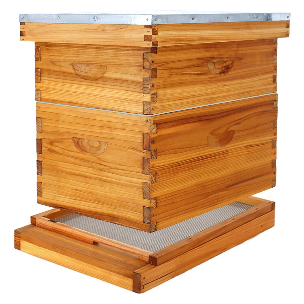 BEEKNOWS 8 Frame Beehive Kit with Screened Bottom Board Dipped in 100% ...
