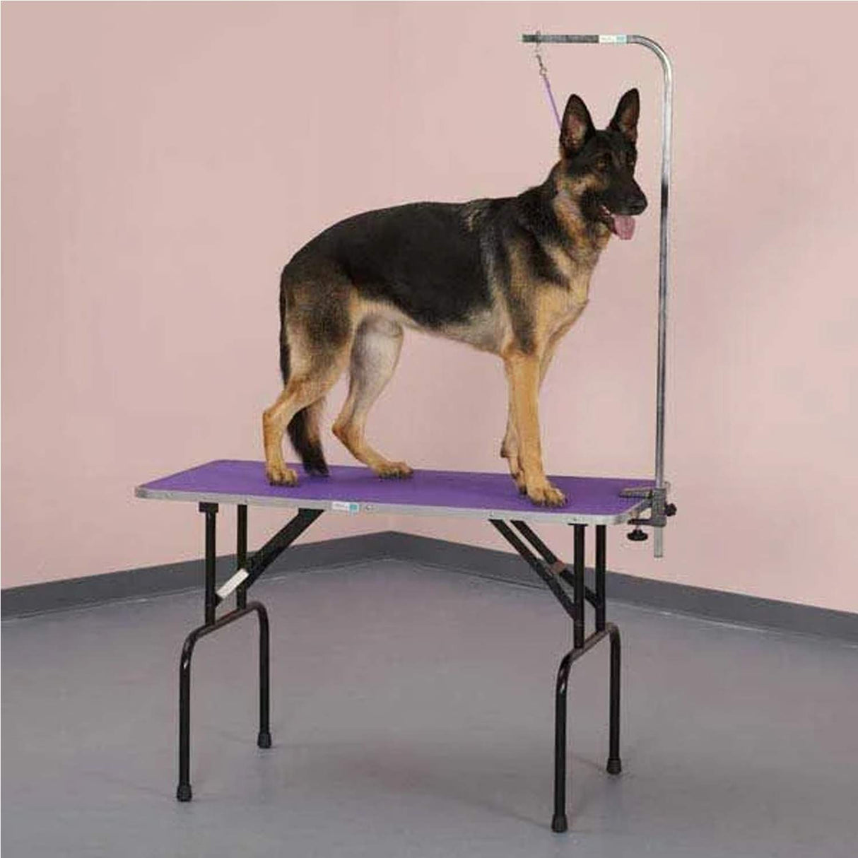 Master Equipment Grooming Table w/36In Grooming Arm, 36x24In Purple Master Equipment