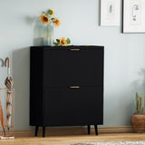 QIVOMIX Shoe Cabinet Storage,Modern Freestanding Organizer with 2 Flip Drawers,Narrow Shoe Rack Cabinet for Entryway,Black QIVOMIX