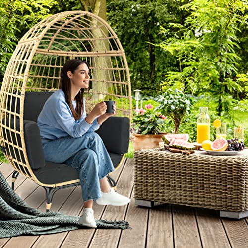 Jovial Wicker Rattan Egg Chair,Indoor Outdoor Black Sofa Chair for Patio Backyard and Living Room with 4 Cushions and Powder Coated Steel Frame,Woven Texture Contemporary Ribbed Back Design SereneLife