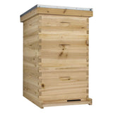 NuBee Starter 10 Frame Beehive Kit - Includes 2 Hive Bodies, 1 Super Box, Pine Frames, Wax Coated Foundations and More NuBee Hive