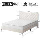 HOMBCK Queen Bed Frame with Headboard, Linen Fabric Upholstered Bed Frame Queen, Wood Slats Support, Button Tufted, No Box Spring Needed, White HOMBCK