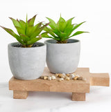 Kurrajong Farmhouse Wood pedestal stand | Planter stand | Wood pedestal board for plants | Wood riser board for home decor | Mango Wood pedestal display stand for plants Kurrajong Farmhouse