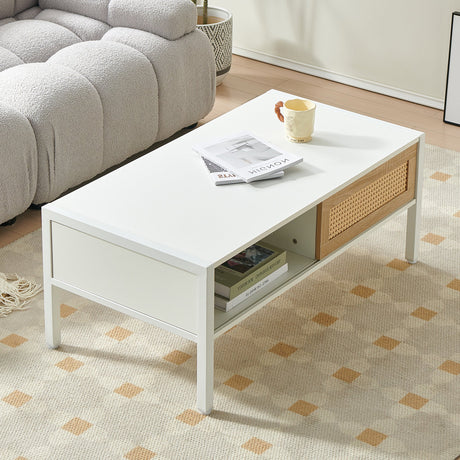 Modern Rattan Coffee Table with Sliding Door HouseOfZazla
