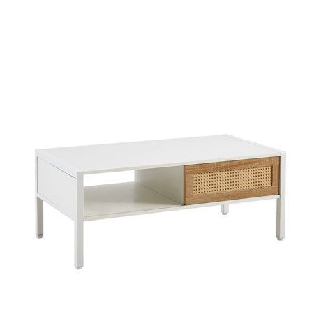 Modern Rattan Coffee Table with Sliding Door HouseOfZazla