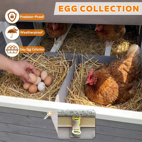 150" Extra Large Wooden Chicken Coop HouseOfZazla