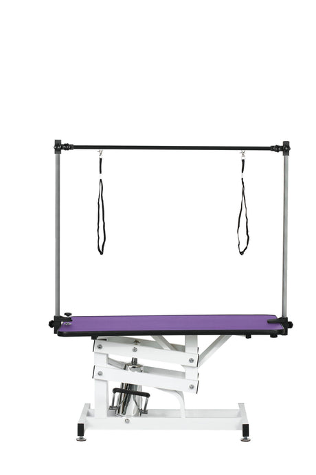 Hydraulic Pet Grooming Table With "H" Arm HouseOfZazla