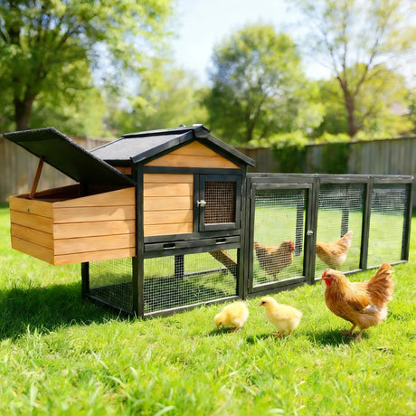 Chicken Coop With Run And Nesting Box HouseOfZazla