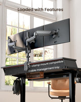 ErGear Electric Standing Desk with Drawers, 48" x 30" Height Adjustable Desk with Storage, 4 Memory Preset Computer Home Office Desk with Cable Management Tray, Black ErGear