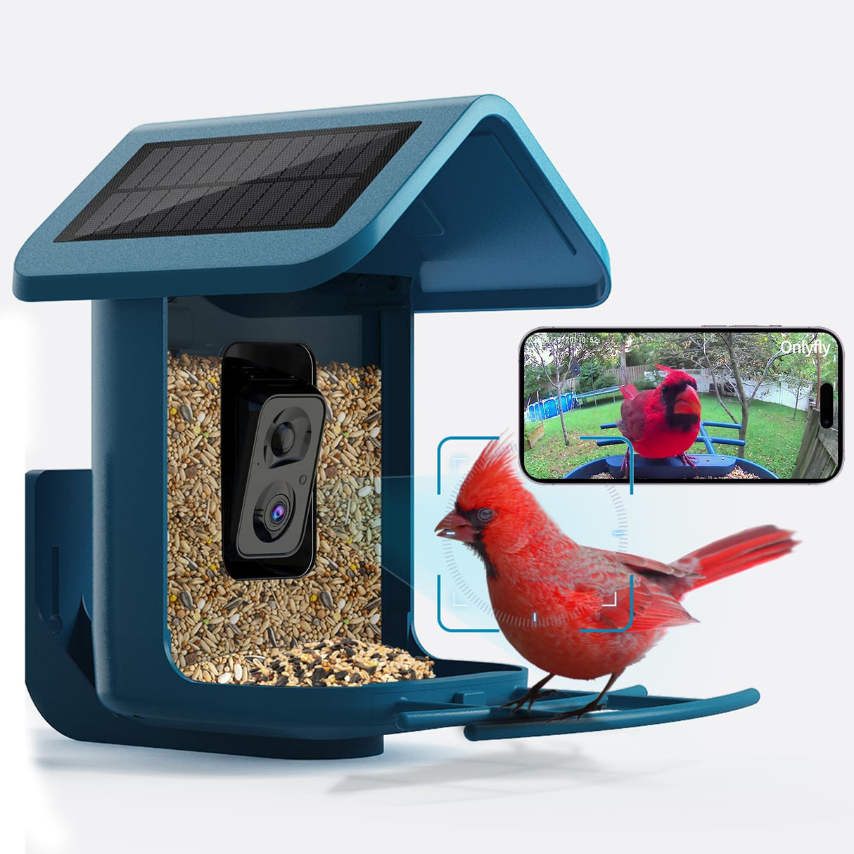 OnlyFly Bird Feeder with Camera - Smart Bird Feeder with Camera 1080P HD for Bird Watching, AI Recognition Birdhouse Camera, Solar Powered Video Bird onlyfly