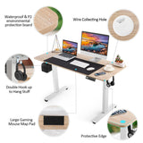 farexon Electric Standing Desk 63 x 24In with Charging Station, Stand up Desk with Oversized Mouse Pad, 2 USB Ports & 3 Power Outlets, 4 Caster, 4 Preset Heights Easy to Set(Oak Gray) farexon