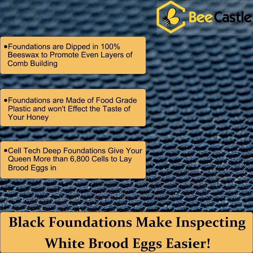 BeeCastle 8 Frame Langstroth Bee Hive Coated with 100% Beeswax Includes Beehive Frames and Waxed Foundations (2 Deep Boxes & 2 Medium Boxes) BeeCastle