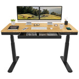 SANODESK Standing Desk with Drawer,Dual Motor 3 Stage Electric Height Adjustable Home Office Desk with Storage & Wireless Charging, 55 inch Bamboo Tabletop/Black Frame SANODESK