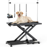 DWVO 50'' Electric Dog Grooming Table Heavy Duty Adjustable Pet Grooming Table Grooming Arm Anti-Slip Top Tool Organizer Professional Dog Grooming Station (Black, 50inch) DWVO