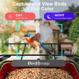 birdsnap® APS - Metal Bird Feeder with Camera Solar Panel 32GB Card, AI Identify 10000+ Birds Camera Feeder, 2K HD Live View Auto Record Bird Video, Ideal Xmas Gift for Bird Lovers birdsnap