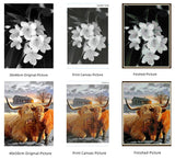 DIY 5D Diamond Art Painting by Number Kits for Adults African Ballet Dancing Girl Round Diamond Art Full Drill Beads Embroidery Cross Stitch for Wall Decoration(40x40) WoodArtSupply