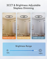 CubiCubi Modern Ceiling Fans with Lights, 20 Inch Black Fandelier with Remote Control and APP, Quiet LED Fan Light with 3CCT and 6 Wind Speeds, Low Profile Flush Mount Fan for Bedroom, Dining Room CubiCubi