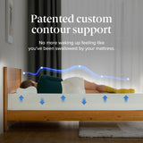 ZINUS 12 Inch Green Tea Memory Foam Mattress [New Version], Full, Fiberglass free, Medium Firm Feel, Zoned Pressure Relief, Certified Safe Foams & Fabric, Mattress in A Box Zinus