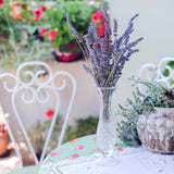 Timoo Dried Lavender Bundles 100 Natural Dried Lavender Flowers for Home Decoration, Photo Props, Home Fragrance, 2 Bundles Pack Timoo