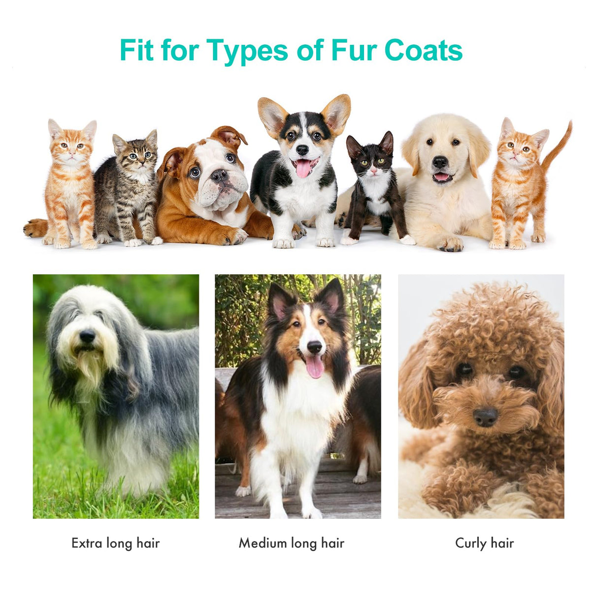 neabot Neakasa P1 Pro Pet Grooming Kit & Vacuum Suction 99% Pet Hair, Professional Clippers with 5 Proven Grooming Tools for Dogs Cats and Other Animals neabot