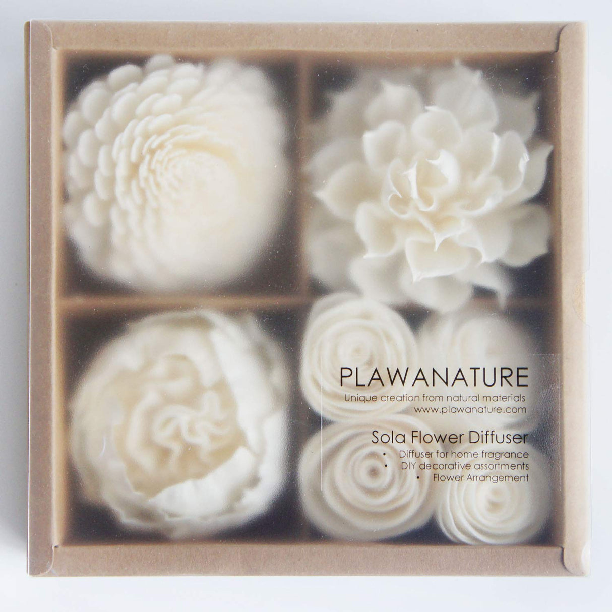 Mixed White Sola Flower with Cotton Wick Diffuser Set Replacement for Home Fragrance by Plawanature plawanature