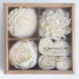 Mixed White Sola Flower with Cotton Wick Diffuser Set Replacement for Home Fragrance by Plawanature plawanature