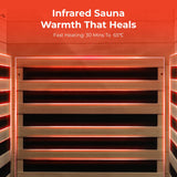 LINKHOO Sauna Home Sauna with Bluetooth & Reading Lighting,1 Person Infrared Sauna Spa Room with Foot Temperature Control,980W LINKHOO