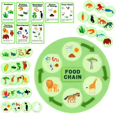 natalieenati Life Cycle Toys for Kids-Food Chain & Food Web Science Education Toys - Montessori Animal Life Cycle Learning Toys for Toddlers-Preschool Classroom Must-Have Science Kits for Kids