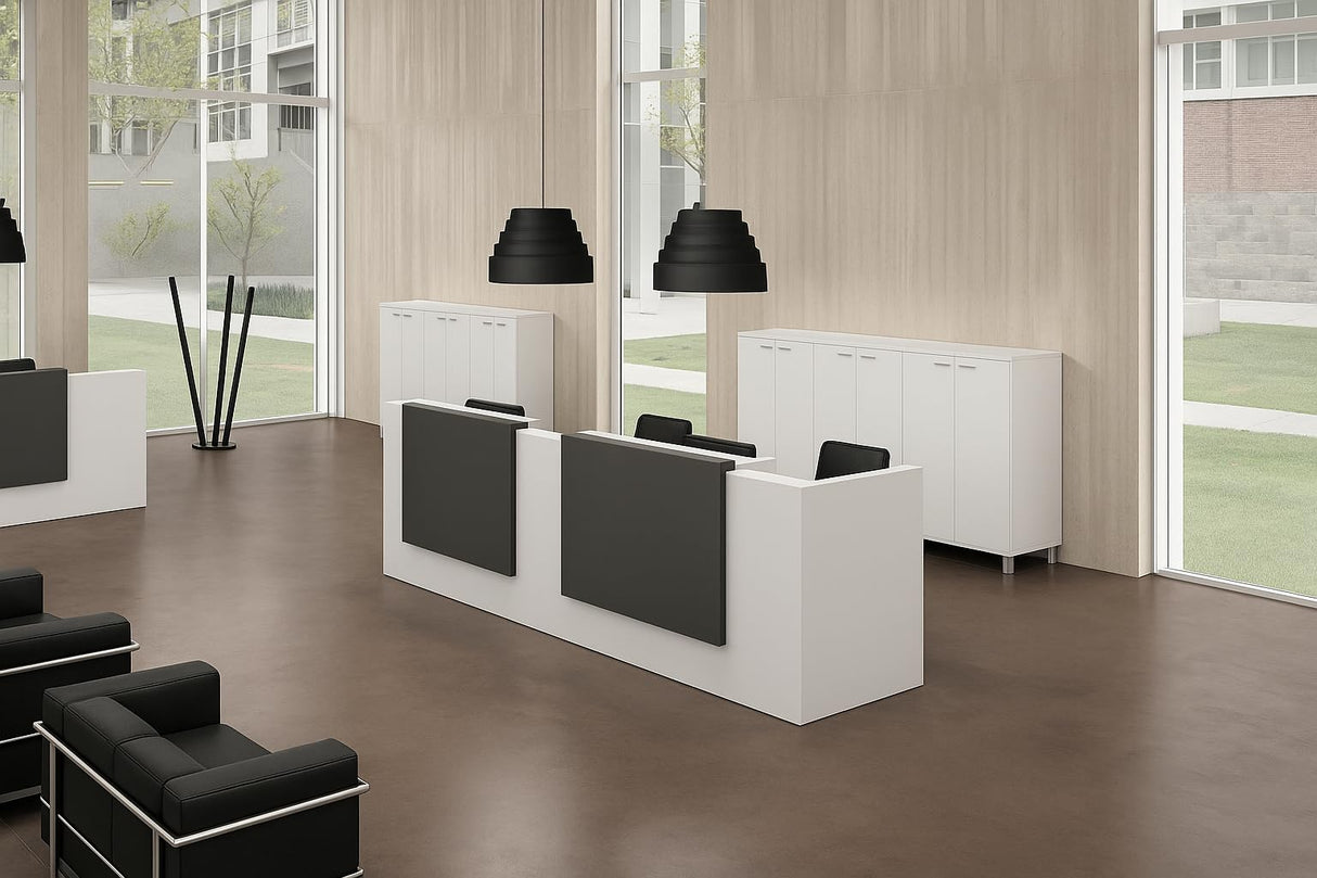 UGOS ICN 53" Modern Reception Desk, Multifunctional Modern Transaction Counter Top, Laminate Desktop, Standing Front Table for Office, Home, School, Salon, Spa - White & Anthracite Gray UGOS