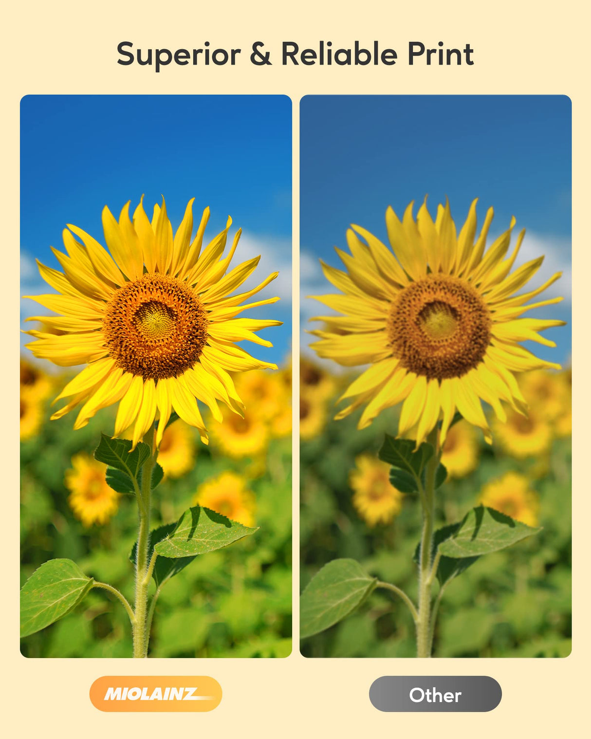 PGI-280 XXL/CLI-281 XXL Ink Cartridge 5 Color Value Pack Replacement for Canon 280 281 Ink Cartridges Compatible with Printer TR8520 TR8620 TR7520 TR8600 TS6120 TS6220 TS9120 MIOLAINZ