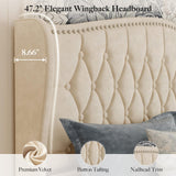 Belffin Queen Bed Frame with Headboard, Luxury Upholstered Velvet Platform Bed with Wingback, Button Tufted & Nailhead Trim, Anti-Slide Tall Footboard, No Box Spring Needed, Noise-Free, Beige Belffin